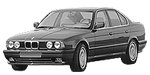 BMW E34 P1E49 Fault Code